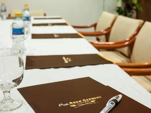 Conferencias