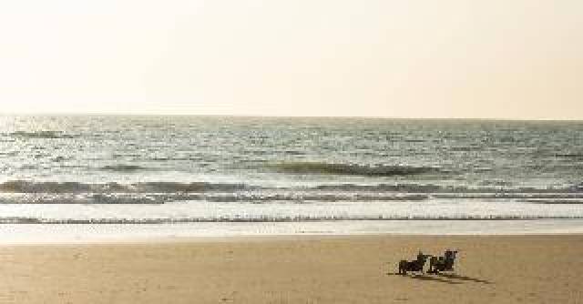 Praia