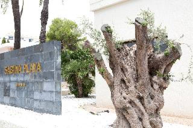 Vista General