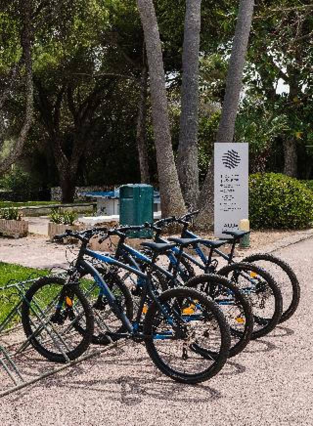 Desportos y Entretenimento