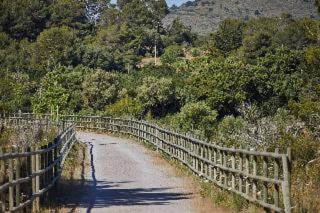 Desportos y Entretenimento