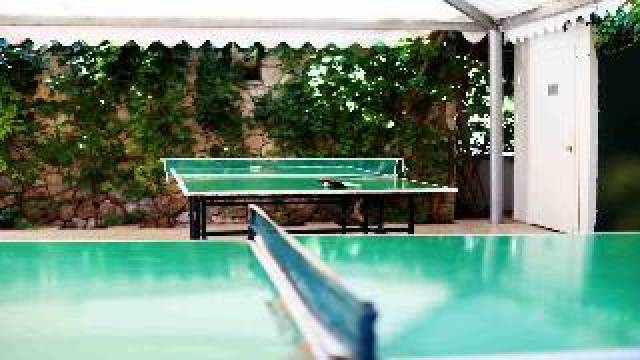 Desportos y Entretenimento