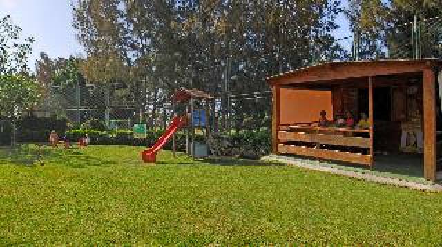 Desportos y Entretenimento