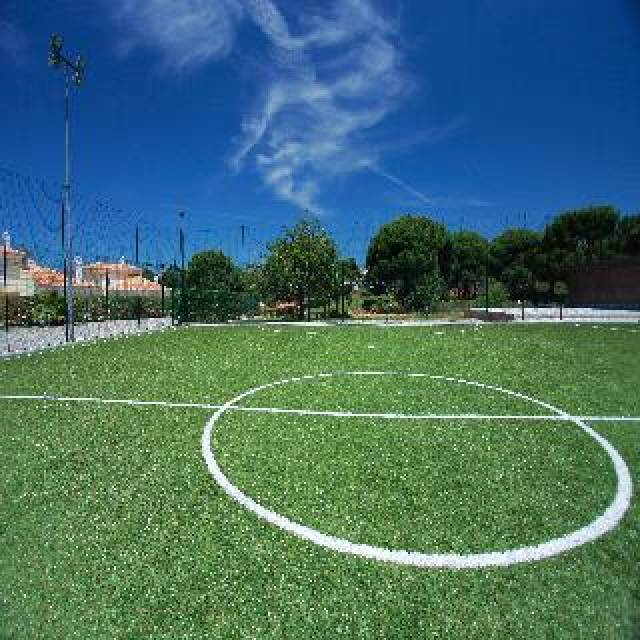 Desportos y Entretenimento