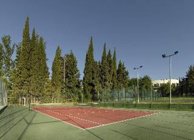 Desportos y Entretenimento