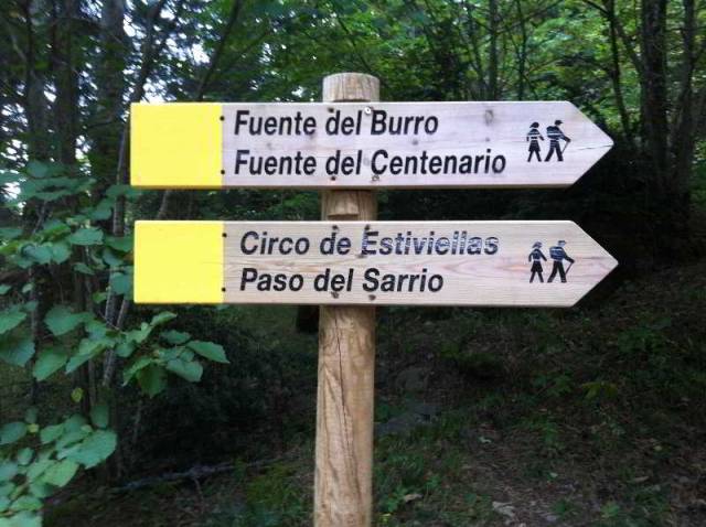 Desportos y Entretenimento