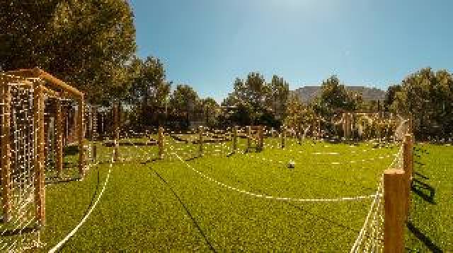 Desportos y Entretenimento