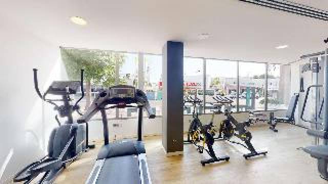 Desportos y Entretenimento