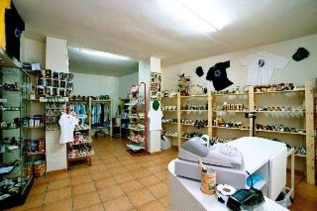 Desportos y Entretenimento