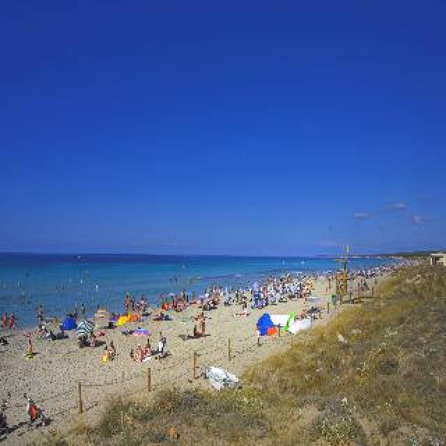 Praia
