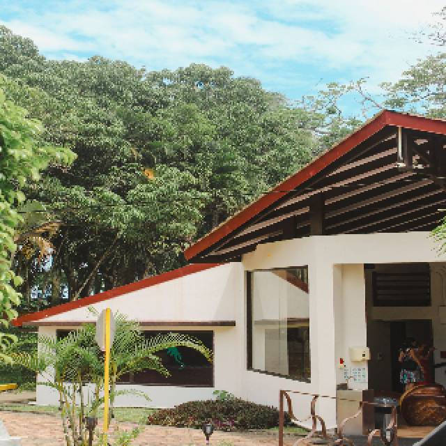 Vista General