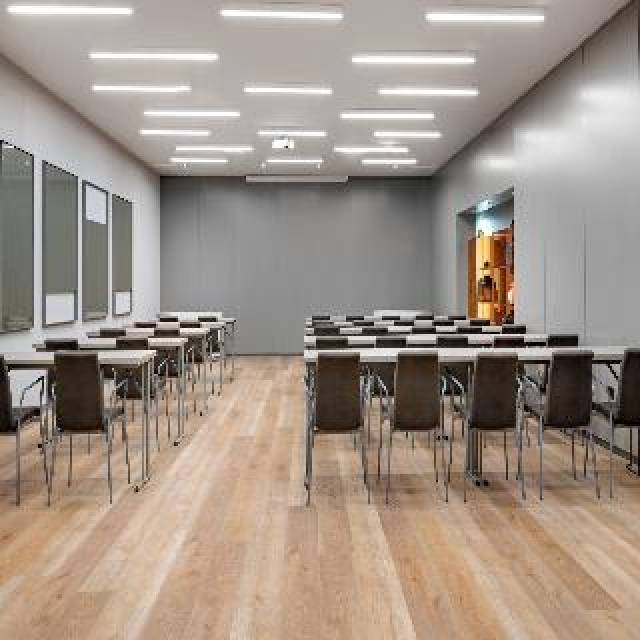 Conferencias