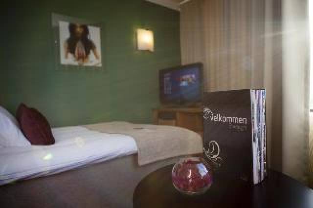 Quarto