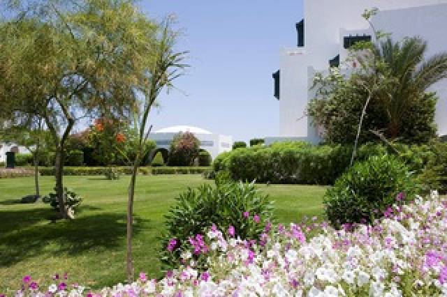 Vista General