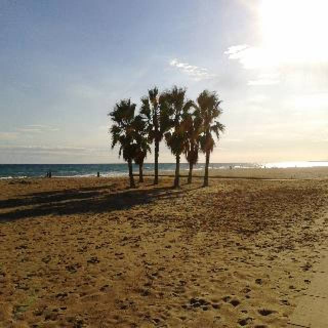 Praia