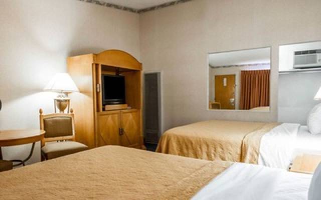 Quarto