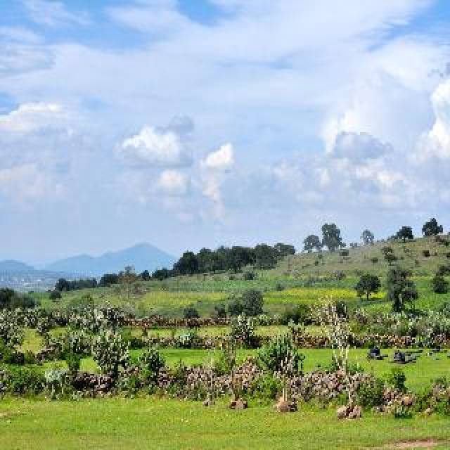 Vista General