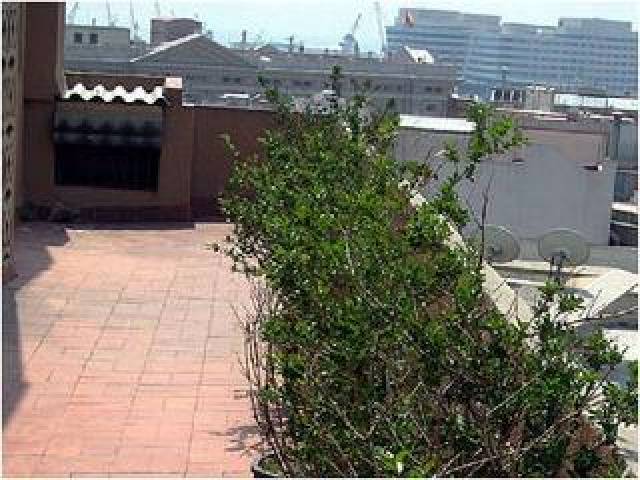 Terraço