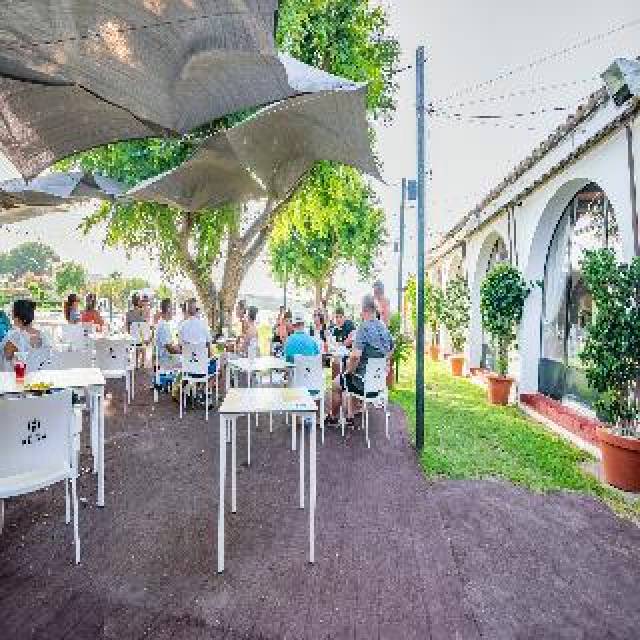 Terraço