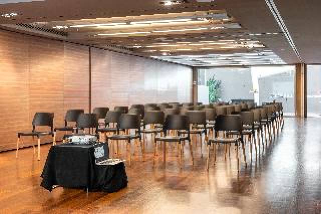 Conferencias