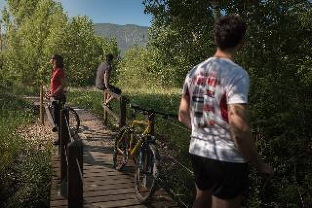 Desportos y Entretenimento