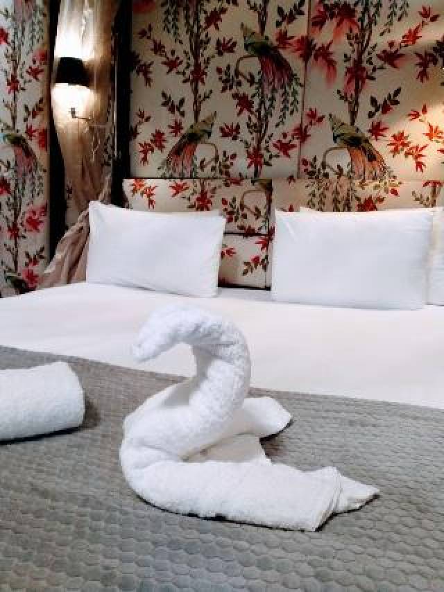 Quarto