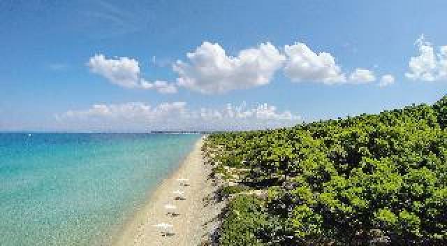 Praia