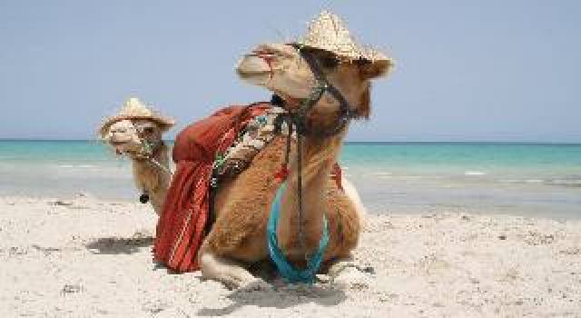 Praia