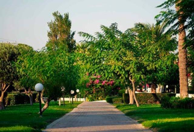 Vista General