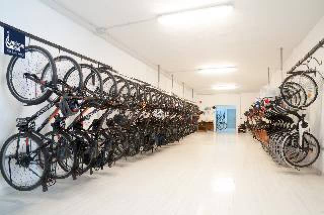 Desportos y Entretenimento
