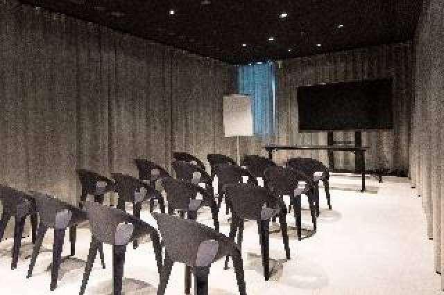 Conferencias