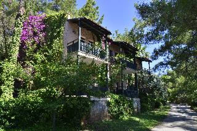 Vista General