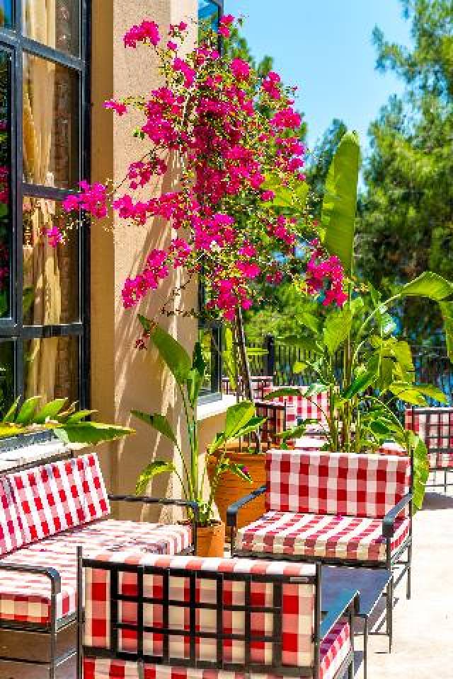 Terraço