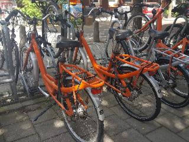 Desportos y Entretenimento