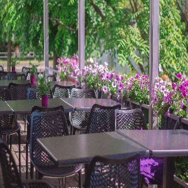 Terraço