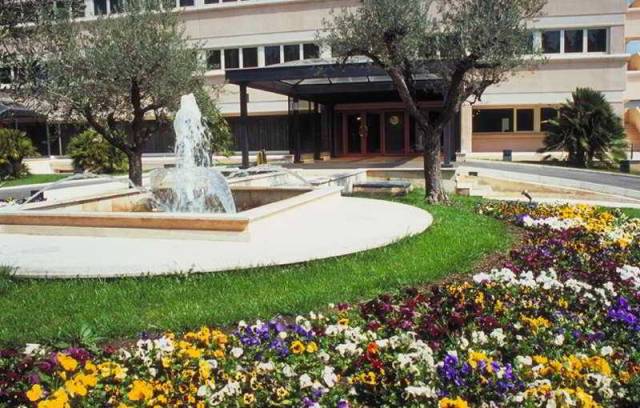 Vista General