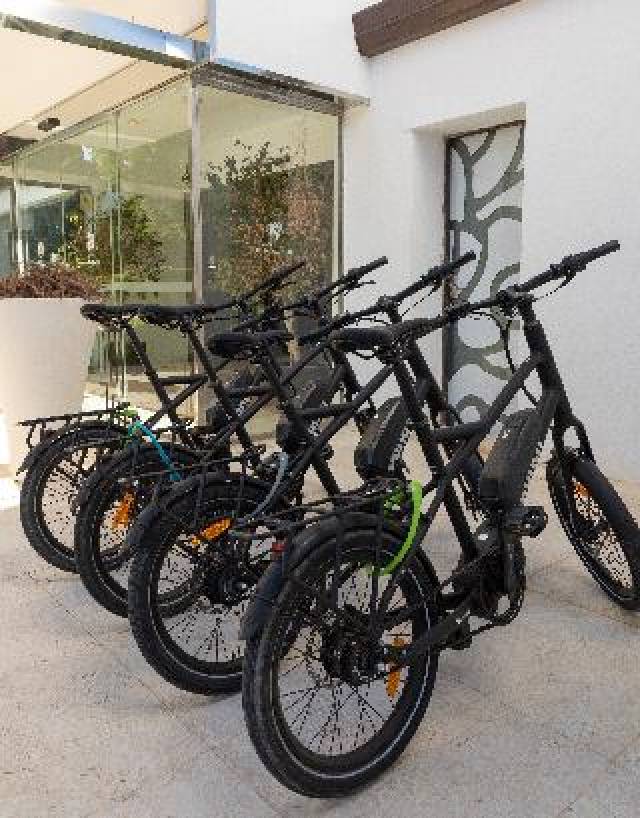 Desportos y Entretenimento