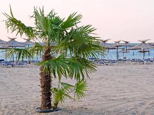Praia