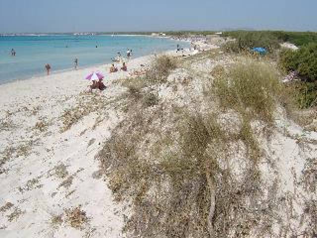 Praia