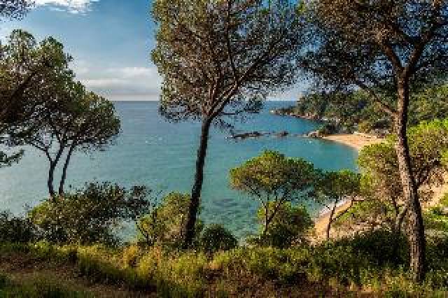 Praia