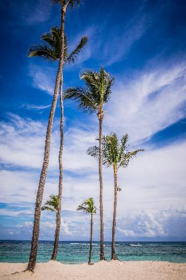 Praia
