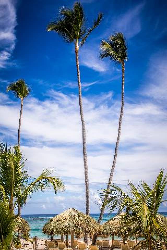 Praia