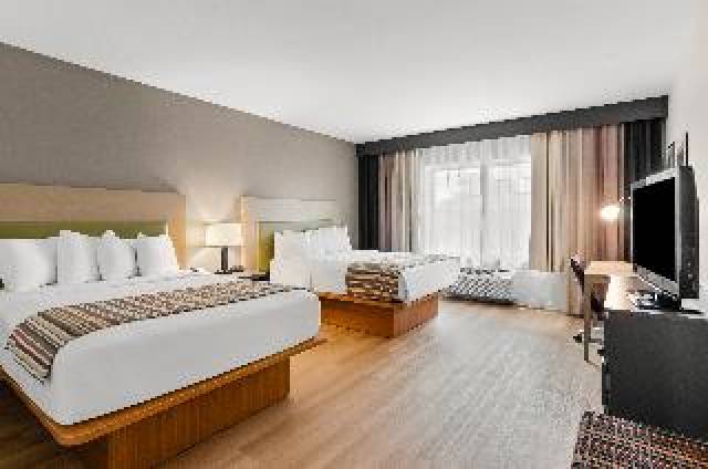 Quarto