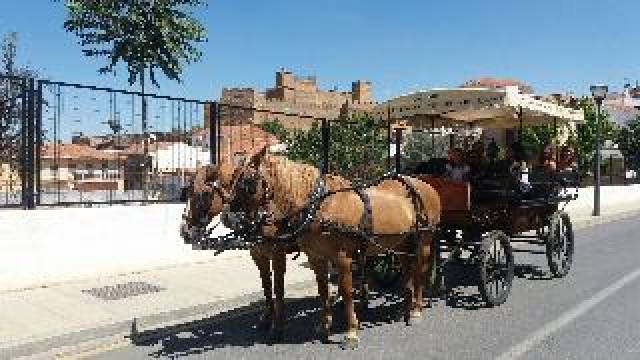 Desportos y Entretenimento