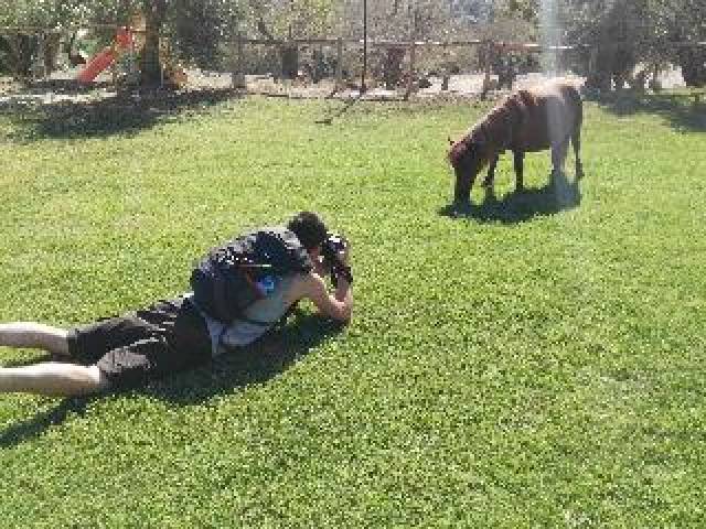 Desportos y Entretenimento