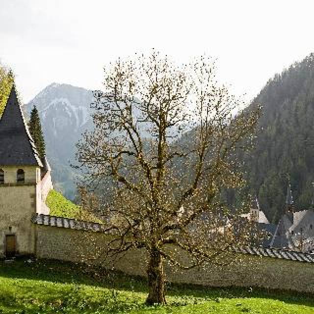 Vista General