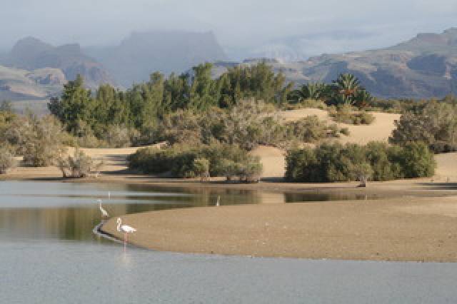 Vista General