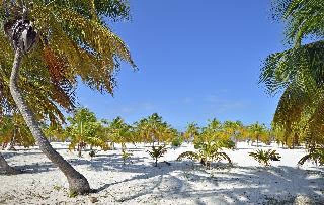 Praia