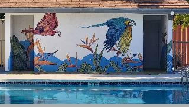 Piscina