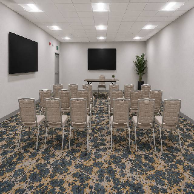 Conferencias